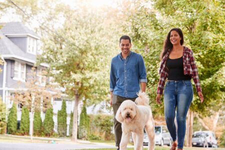 Couple walking with dog