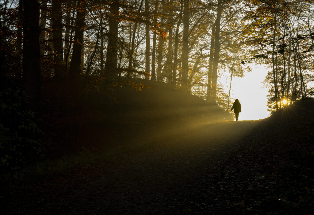 Winding path through forest symbolizing long-term personal and relational growt