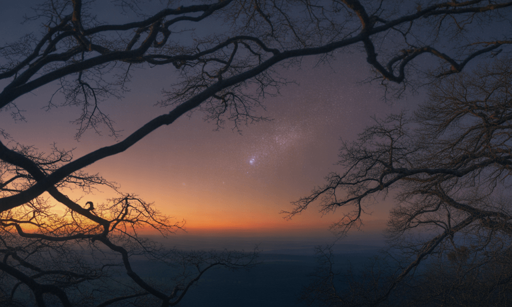Small light-first star at twilight as a symbol of gentle hope