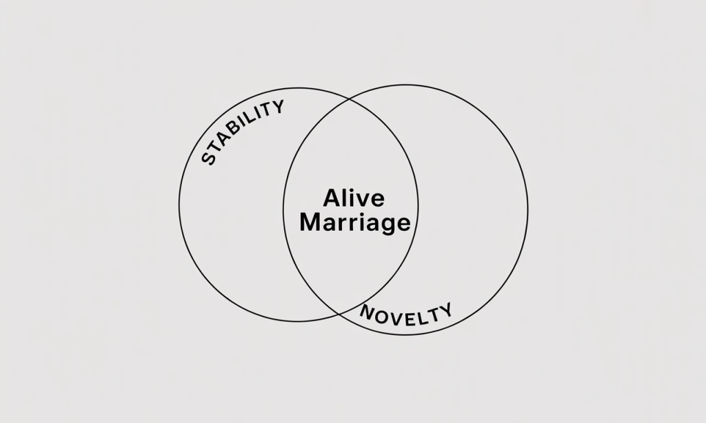 Stability plus novelty-Venn diagram showing the sweet spot that ends marriage stagnation