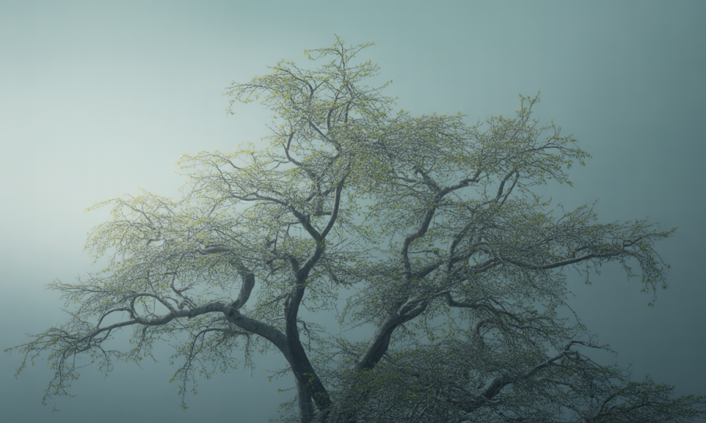 Hopeful signs of renewal representing proof of life in marriage.