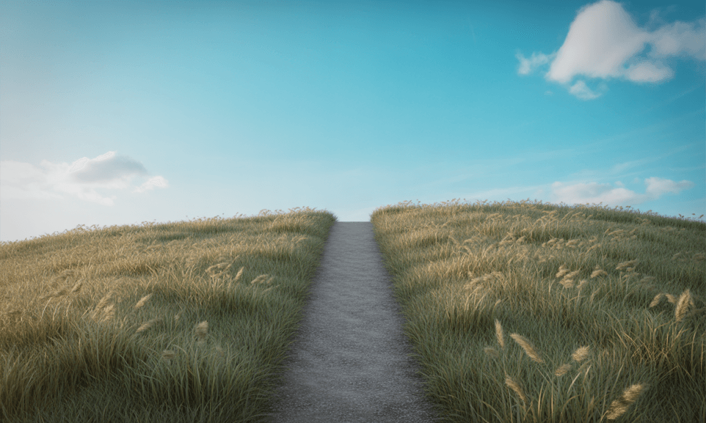 Boundaries represented as pathways creating lightness and direction