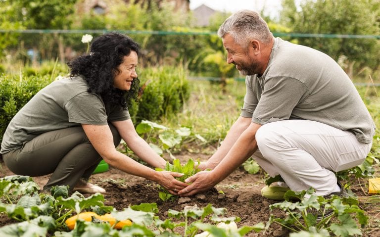 Celebrate the Attempt: Reward the Growth You Want Repeated